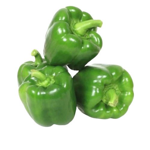 100% Original And Pure Fresh Green Capsicum Or Shimla Mirch With Zero Chemicals