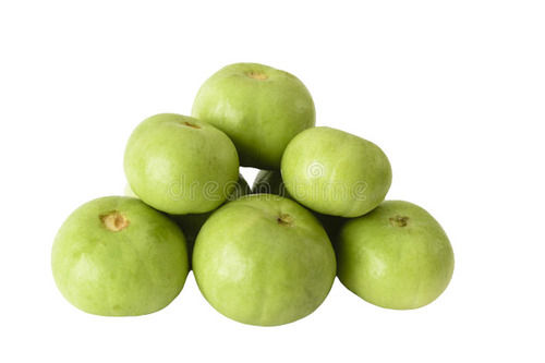 Natural And Pure Apple Guard Tinda With Zero Chemicals