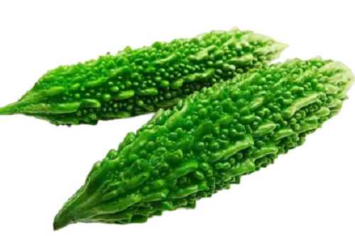 प्राकृतिक और शुद्ध फार्म ताजा करेला जीरो रसायनिक पदार्थ के साथ