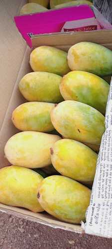 Fresh Sweet Alphanso Mango