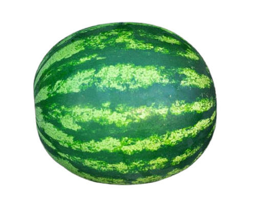 Pure And Fresh Sweet Commonly Cultivated Whole Watermelon