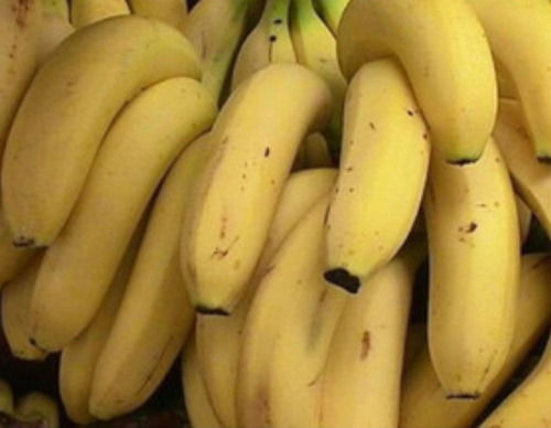 A bunch of fresh, ripe, organic and natural yellow bananas that make people  healthy. 21054351 PNG