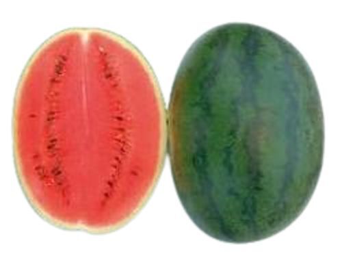 Antioxidant Juicy, Sweet And Grainy Textured Fresh Watermelon