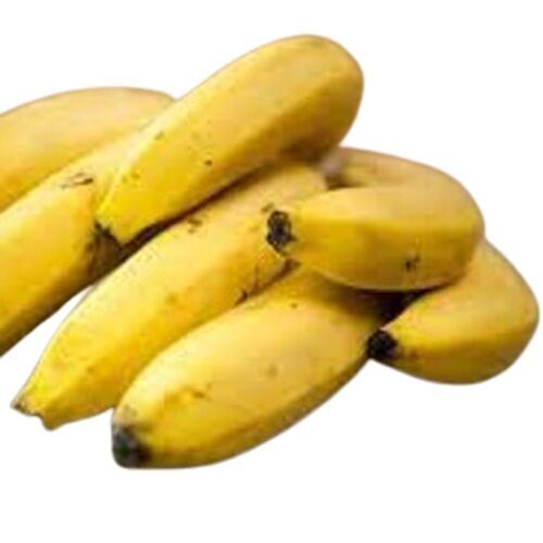 Commonly Cultivated Vitamins Enriched Naturally Ripened Sweet Tasty Yellow Banana 