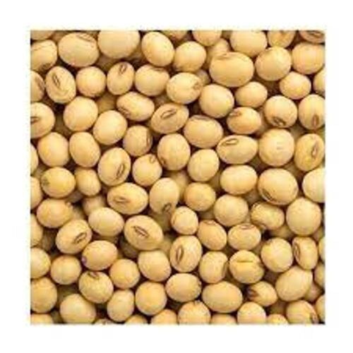 High In Fibre High In Protein Soya Beans For Cooking