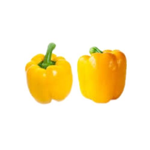 Fresh Yellow Capsicums Moisture (%): 80.0 %