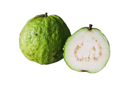 A Grade Fresh And Natural Sweet Commonly Cultivated Guava