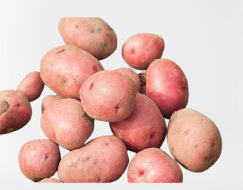 Pack Of 1 Kilogram A Grade Fresh And Organic Potato For Cooking 