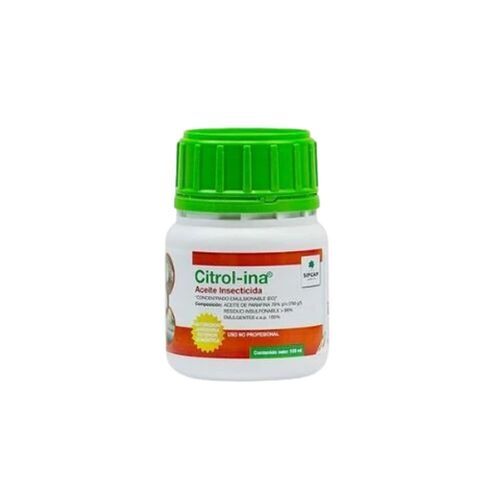 High Effectiveness Hygienically And Finely Processed Herbal Tooth Powder Care O Dent