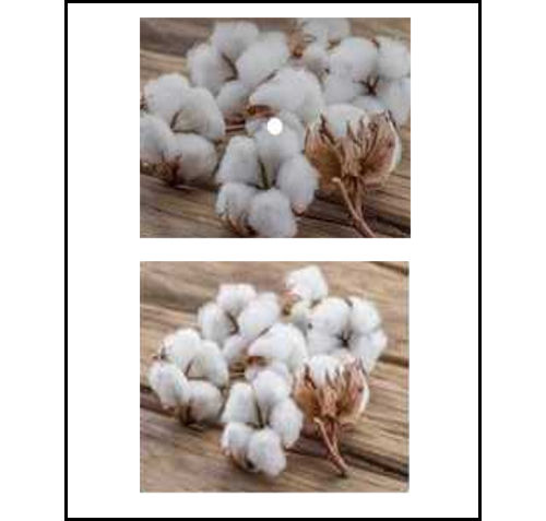 Breathable Eco Friendly White Color High Grade Cotton Waste