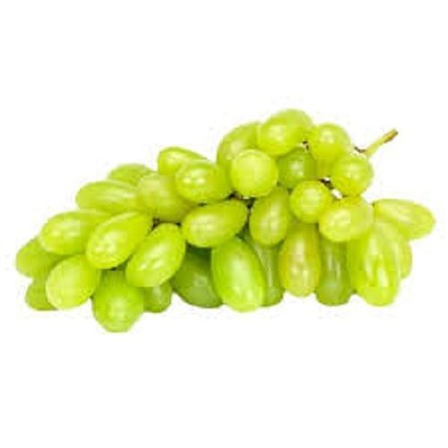 100% Pure Natural Healthy Fresh Round Shape Organic Sweet Taste Green Grapes Origin: Yes