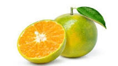 Natural Healthy Round Shape Commonly Cultivated Fresh Sweet Green Orange