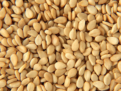 Natural A Grade Commonly Cultivated Dried Organic Whole Raw Sesame Seeds
