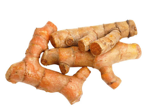 Brown 100% Pure And Natural Original Flavor Indian Origin Raw Turmeric Root 