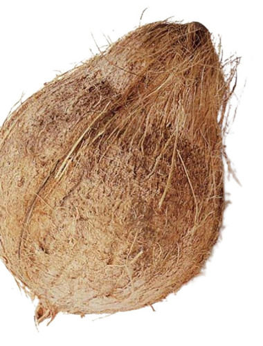 350 Gram, Commonly Cultivated Whole Dry Husked Coconut