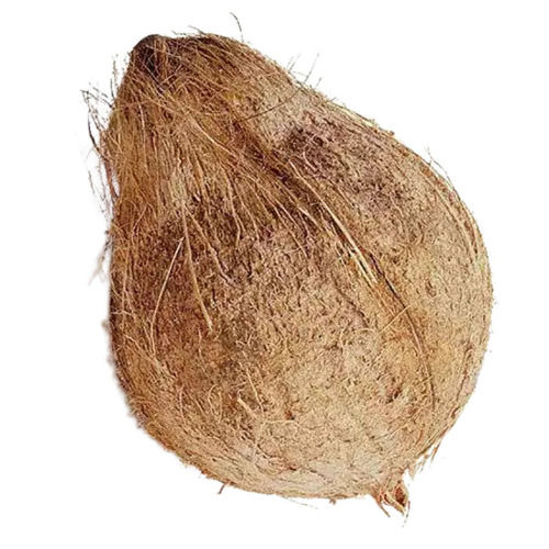  आम तौर पर उगाया जाने वाला साबुत भूसा नारियल, 500 ग्राम