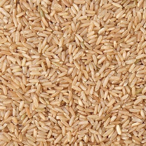  स्वस्थ भारतीय मूल के आम तौर पर उगाए जाने वाले सूखे मध्यम अनाज वाले भूरे चावल 