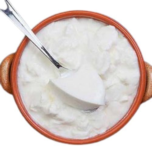 Delicious And Tasty High Calcium Natural Thick Textured Fresh White Curd