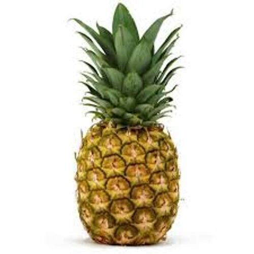 Green Vitamin C And Antioxidants Rich Organically Grown Fresh Pineapple