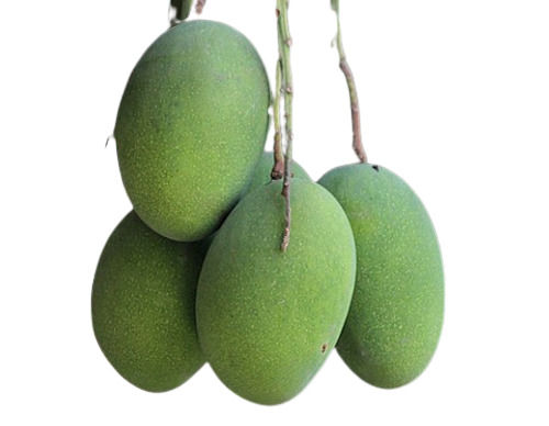 Green 100% Natural And Fresh Sweet -Juicy Amrapali Mango With Shelf Life 1 Week