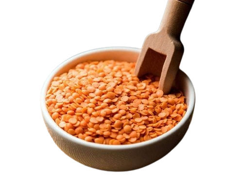 masoor dal