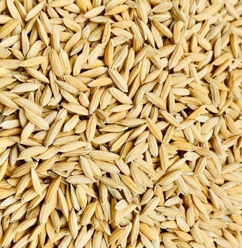  10 किलोग्राम खाद्य ग्रेड आमतौर पर उगाए जाने वाले शुद्ध और प्राकृतिक धान के बीज