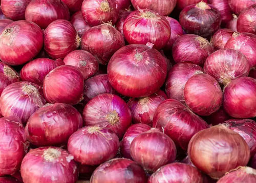 A Grade Round Whole And Raw Fresh Onion With 65% Moisture
