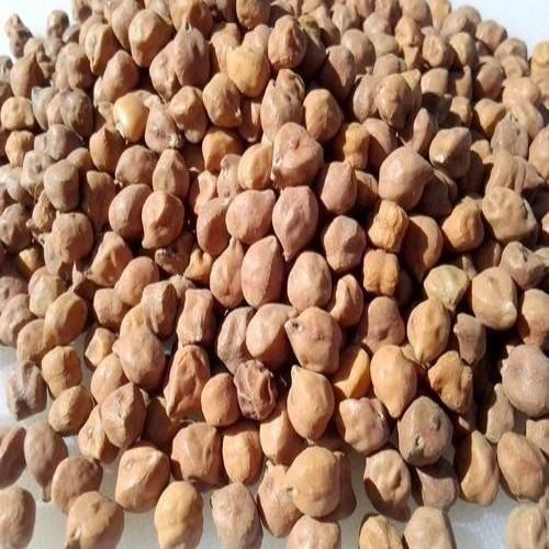 10 Kilograms Food Grade Commonly Cultivated Whole And Dried Desi Chana 