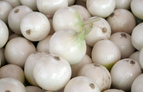 A Grade Round Pure And Fresh Raw Whole Organic White Onion 