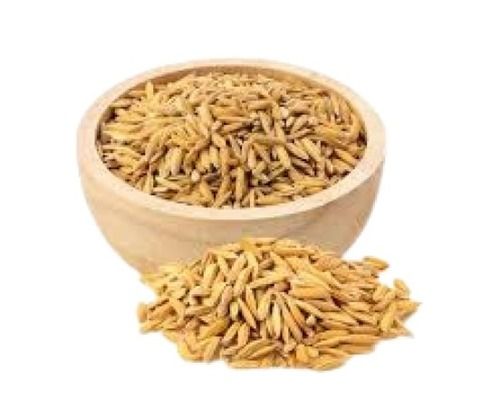 100% Pure Indian Origin Commonly Cultivated Dried Long Grain Paddy Rice 