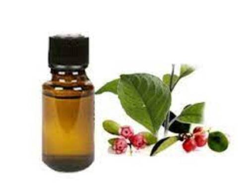 Naturally Extract Of Wintergreen Flavourful Aroma Featured Wintergreen Oil  Storage: Dry Place