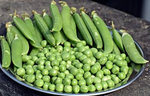 100% Natural And Fresh Common Green Peas For Cooking , Packaging Size 1 Kilogram 