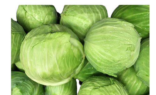 Fresh And Natural Round Whole Raw Cabbage For Cooking 