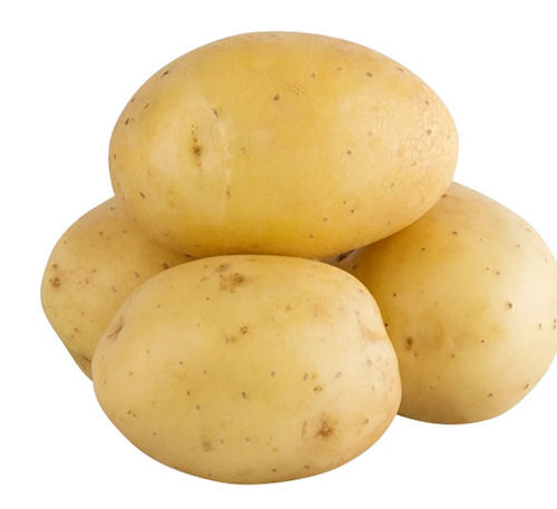 Natural And Fresh Oval Whole Raw Fresh Potato 