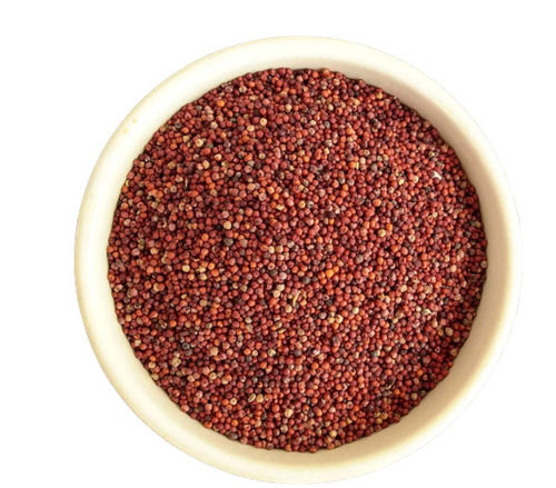 Raw Dried Pure And Natural Commonly Cultivated Finger Red Millet