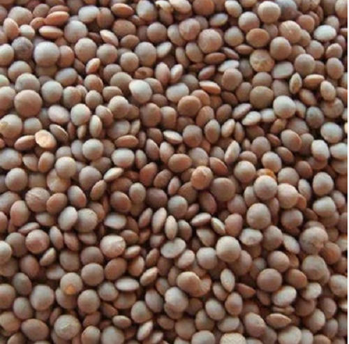 2% Broken High In Protein Round Shape Pure And Natural Black Masoor Dal