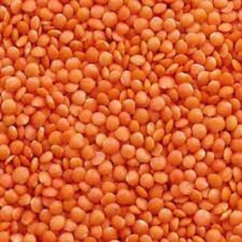 Pure And Fresh Excellent Quality With No Artificial Polishing Masoor Dal 