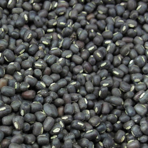 Commonly Cultivated Pure And Natural A Grade Dried Urad Saboot Dal