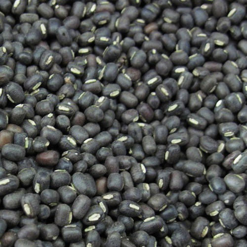 Common 100% Natural Without Any Pesticides Organic Unpolished Black Gram In Premium Quality