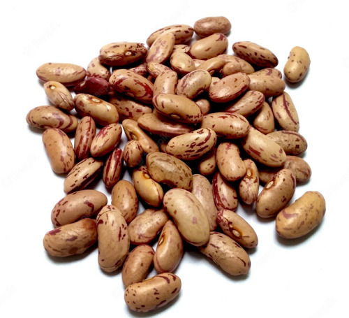 Pure And Natural Commonly Cultivated Dried Kidney Beans 
