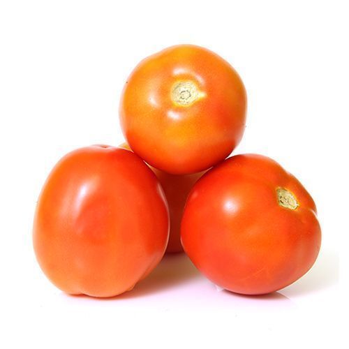 Indian Origin Naturally Grown Round Shape Farm Fresh Red Tomato