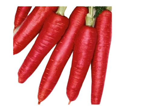 100% Fresh And Natural Red Carrot Vegetable, Packaging Size 50 Kilogram