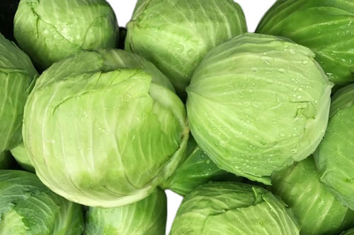 Raw And Fresh Round Fresh Cabbage For Cooking 