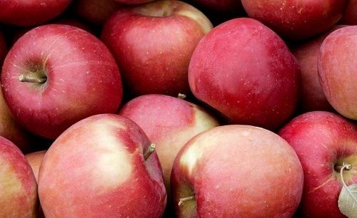 Rich In Protein 100% Pure Fresh And Natural Organic Oval Shape Red Apple