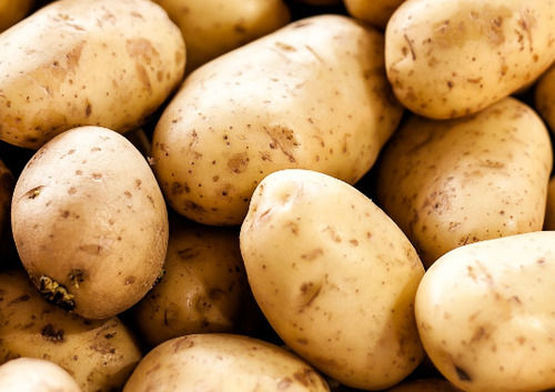 Round Pure And Natural Raw Whole Fresh Potato