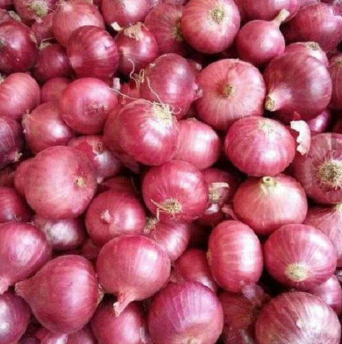 Pure And Natural A Grade Fresh Raw Whole Red Onion 