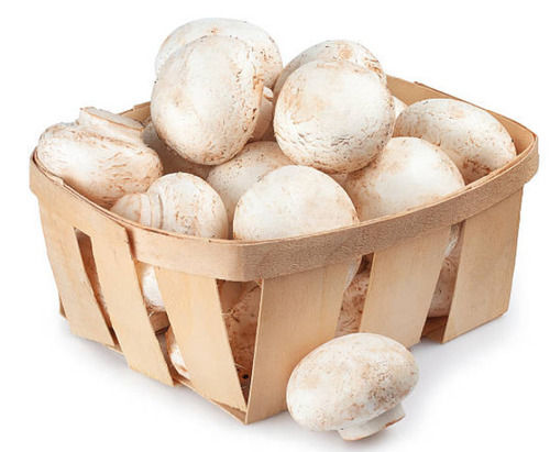 A Grade Commonly Cultivated Raw Whole Healthy And Fresh Mushroom