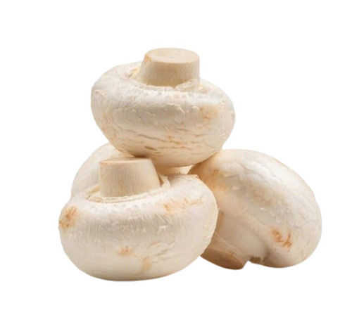 Commonly Cultivated A Grade Raw And Whole Fresh Mushroom