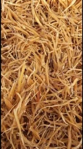 Diwali 100% Pure Feed Grade Raw Herb Solid Shatavari Roots For Herbal Medicine