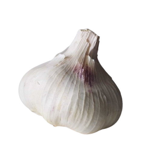 Healthy And Fresh Dried Commonly Cultivated Raw Garlic For Cooking  Moisture (%): 70%